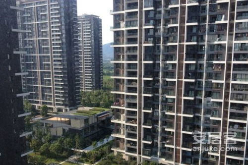 朗郡庭园公寓住宅 优缺点解析与周边市场评价