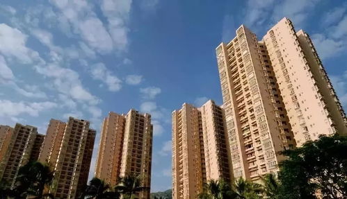 最全的军队统建住房信息与租赁指南 非居住房地产租赁详解