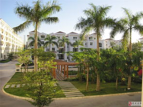 泰安苑精装二室二厅套间出租，家俱家电齐全